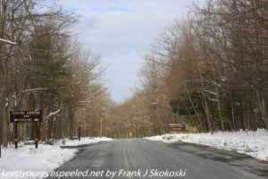 wooded road near Hawk Mountain