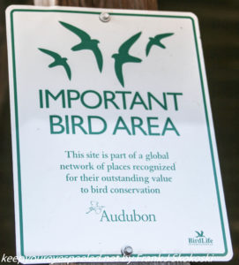 Audubon sign at Middle Creek 