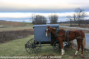 Amish horse and carriage Middle Creek