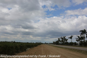 drive to Everglades 