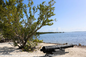 canon and trees on beach 