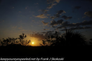 sunrise in the Everglades 