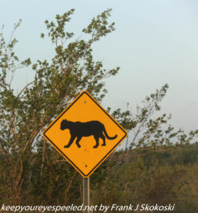 puma crossing sign in Everglades