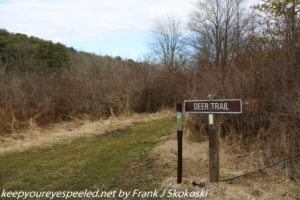 Deer path trail at park 