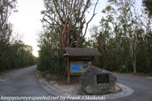 Hammock Botanical State park 