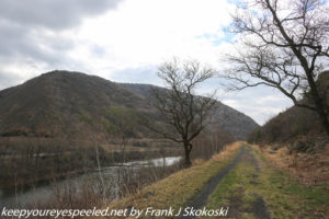 trees and view of mountains and lehigh river on trail 