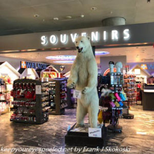 shop in Oslo airport 