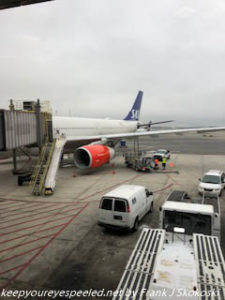 SAS Airplane at terminal 