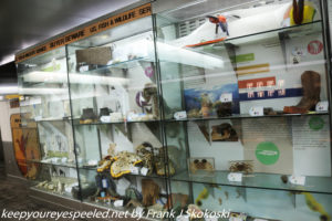 endangered species display 