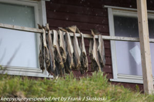 fish drying on porch