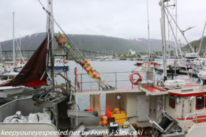 boats in dock Tromso 