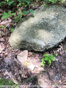 lost hat near rock 