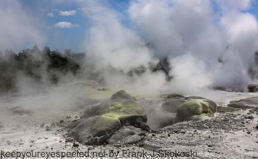New-Zealand-Day-Fourteen-Rotorua-geysers-and-walk-22-of-31