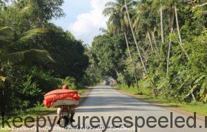 road to Stone Town