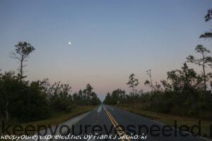 road in Everglades 
