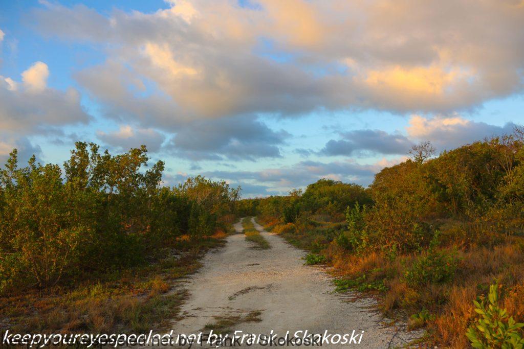 Fordia Day Five Key Largo Dagney Johnson hike (4 of 29)