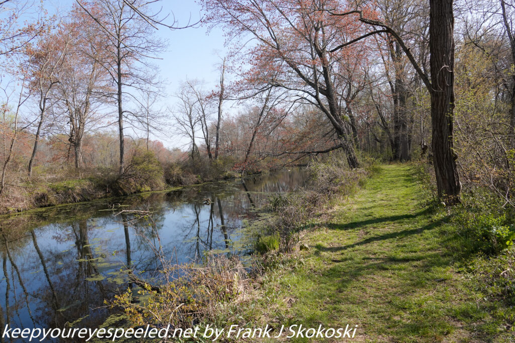 Susquehanna wetlands (5 of 32)