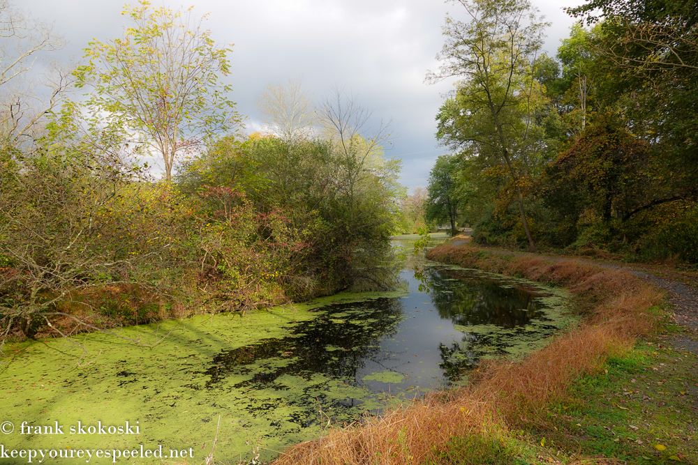 Susquehanna Wetlands (14 of 23)