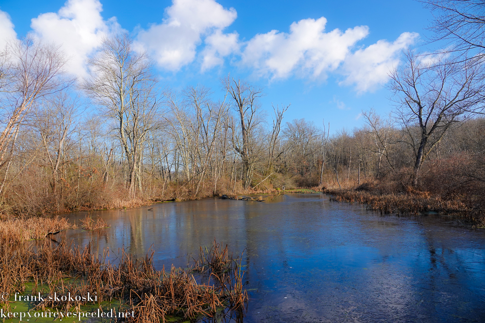 Susquehanna Wetlands (4 of 28)