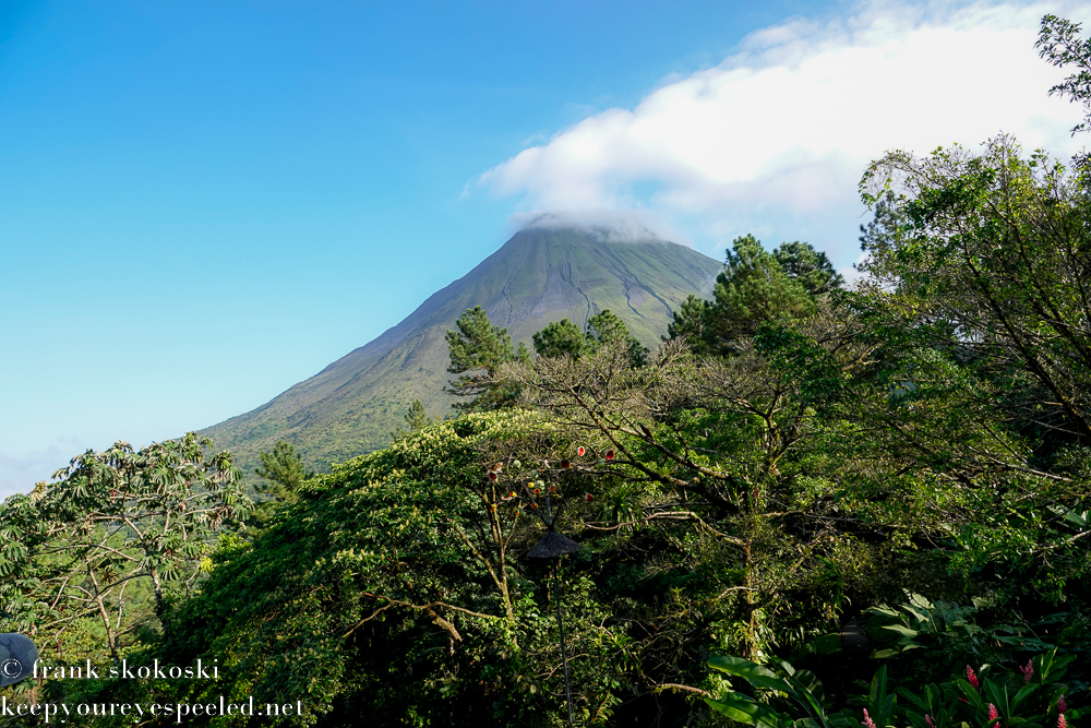 Costa Rica Day Six Arenal Observatory Lodge birding hike scenery (13 of 14)